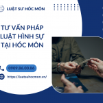 LUẬT SƯ HÌNH SỰ | LUẬT SƯ GIỎI, UY TÍN, CHUYÊN NGHIỆP Ở HUYỆN HÓC MÔN, THÀNH PHỐ HỒ CHÍ MINH