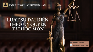 Luật sư đại diện theo ủy quyền tại Hóc Môn. Hỗ trợ làm việc với Tòa án, UBND, công an, giải quyết tranh chấp, khiếu nại, ký nhận hồ sơ, bảo vệ quyền lợi hợp pháp.