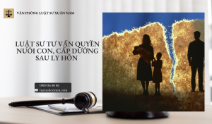 Luật sư tư vấn quyền nuôi con, cấp dưỡng sau ly hôn