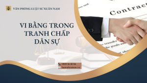 VI BẰNG TRONG TRANH CHẤP DÂN SỰ