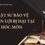 Luật sư bảo vệ quyền lợi bị hại tại Hóc Môn: tham gia tố tụng hình sự, bảo vệ quyền lợi hợp pháp, yêu cầu bồi thường thiệt hại, tránh bỏ sót quyền của bị hại.