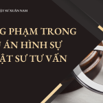 Đồng phạm trong vụ án hình sự – Luật sư Hóc Môn tư vấn
