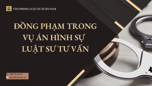 Đồng phạm trong vụ án hình sự – Luật sư Hóc Môn tư vấn