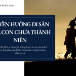 Luật sư Hóc Môn tư vấn quyền hưởng di sản của con chưa thành niên, quy định pháp luật về thừa kế, cách bảo vệ quyền lợi hợp pháp của trẻ.