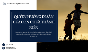 Luật sư Hóc Môn tư vấn quyền hưởng di sản của con chưa thành niên, quy định pháp luật về thừa kế, cách bảo vệ quyền lợi hợp pháp của trẻ.